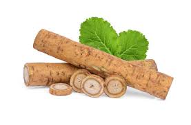 Burdock Root